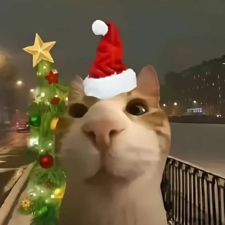 Không chỉ có mèo, chó noel meme cũng mang đến không khí Noel vui nhộn