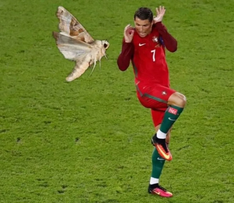 Biểu cảm hài hước nhất qua ronaldo meme face