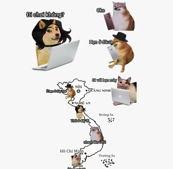 Chó shiba meme mặt ngộ nghĩnh, biểu cảm hài hước