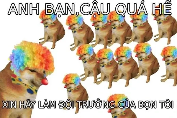 Shiba smile meme cười tươi như hoa, mang lại ngày vui