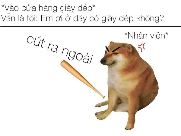 Shiba inu shiba inu dog meme đáng yêu, không thể bỏ lỡ