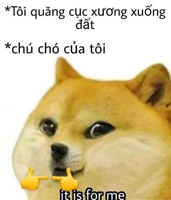 Ảnh meme cheem cheems ngộ nghĩnh, làm mới ngay bài đăng