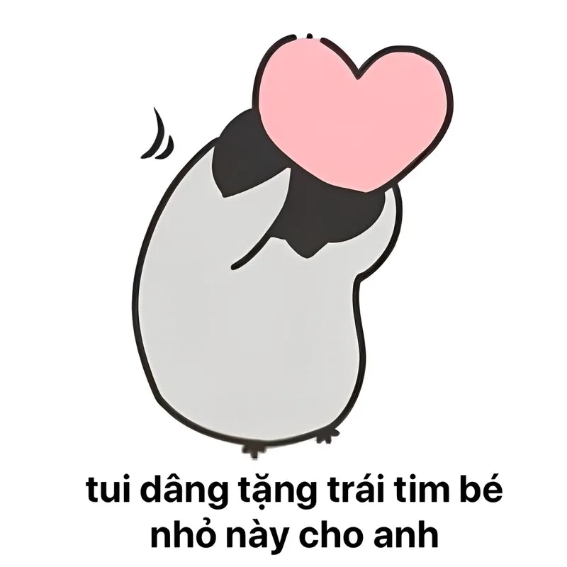 Quà tặng cuộc sống meme mang đến những khoảnh khắc vui vẻ và ý nghĩa.