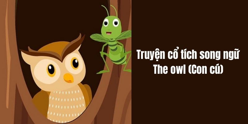 truyện cổ tích song ngữ the owl con cú