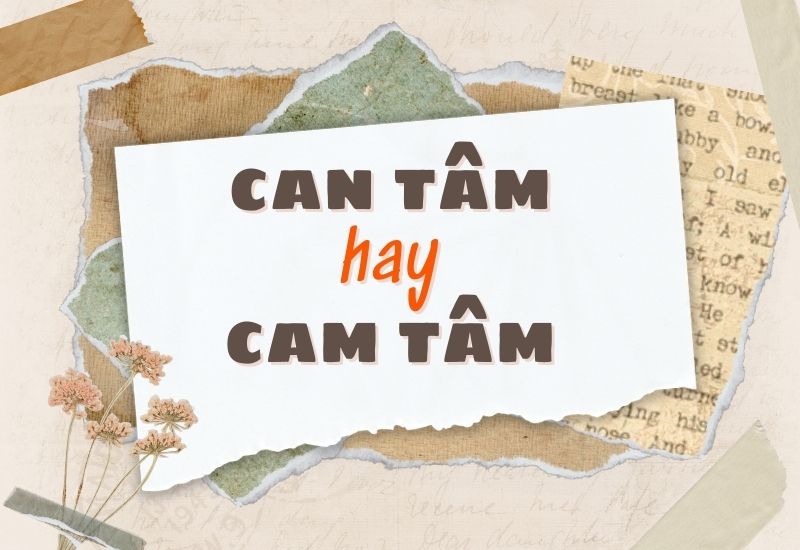 can tâm hay cam tâm