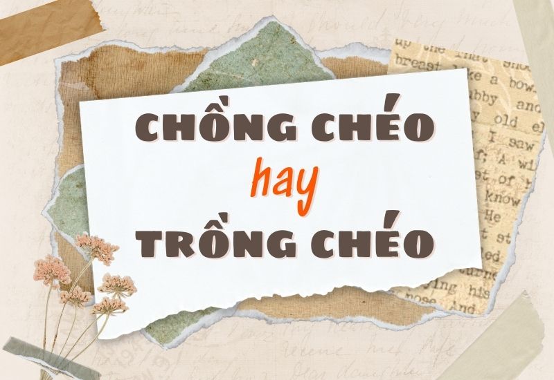 Chồng chéo hay trồng chéo