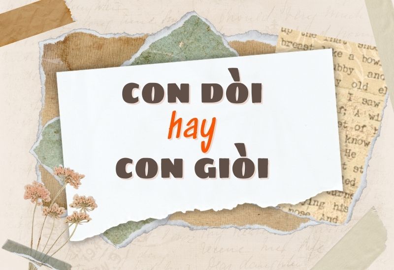 con dòi hay con giòi