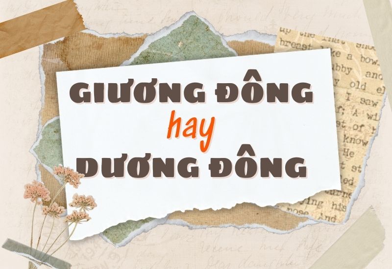 giương đông hay dương đông