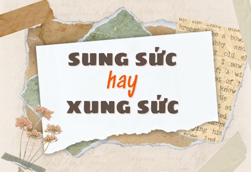 sung sức hay xung sức