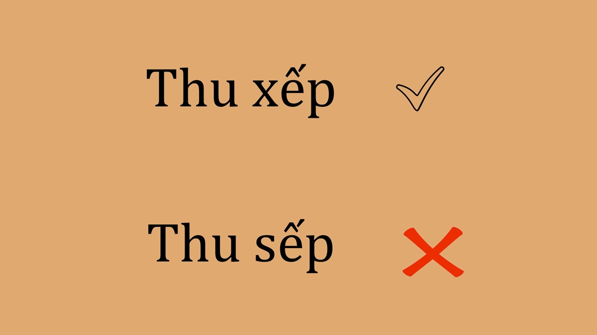 thu xếp hay thu sếp