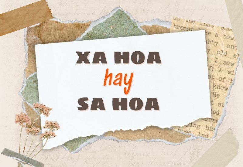 xa hoa hay sa hoa